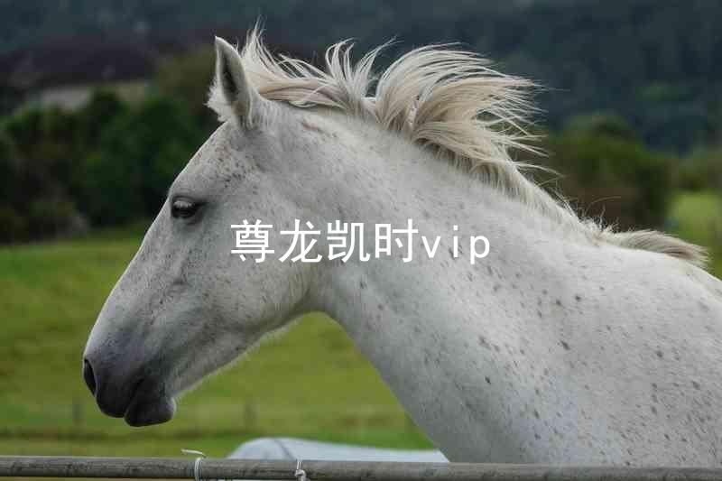 尊龙凯时vip