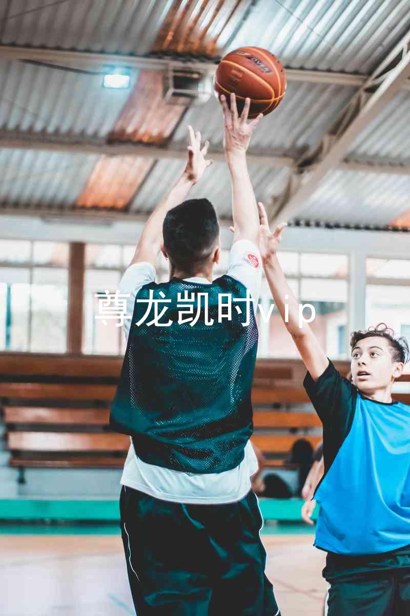尊龙凯时vip