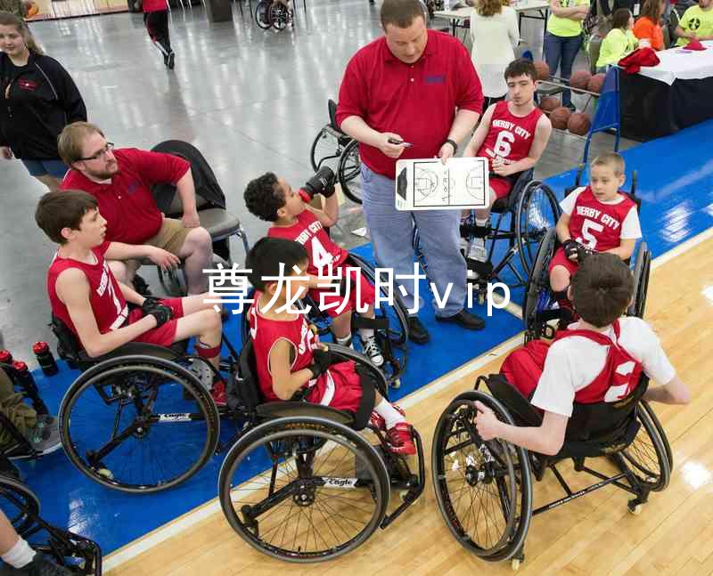 尊龙凯时vip