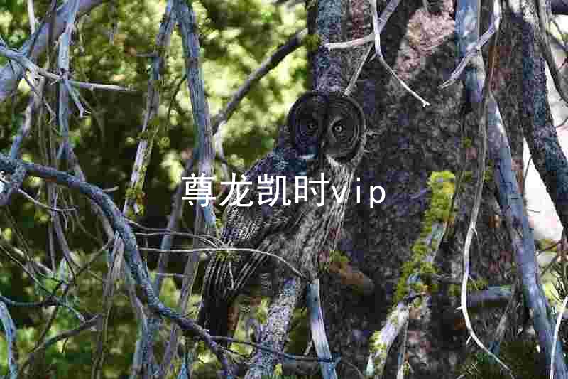 尊龙凯时vip
