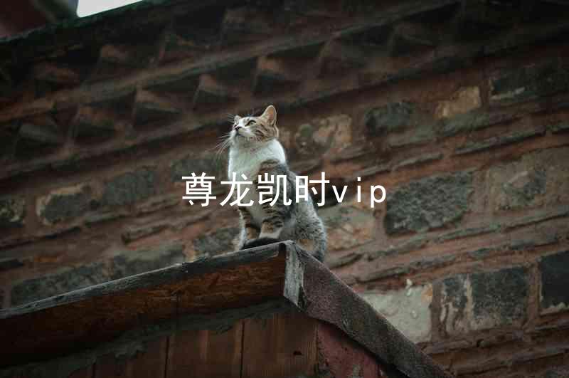 尊龙凯时vip